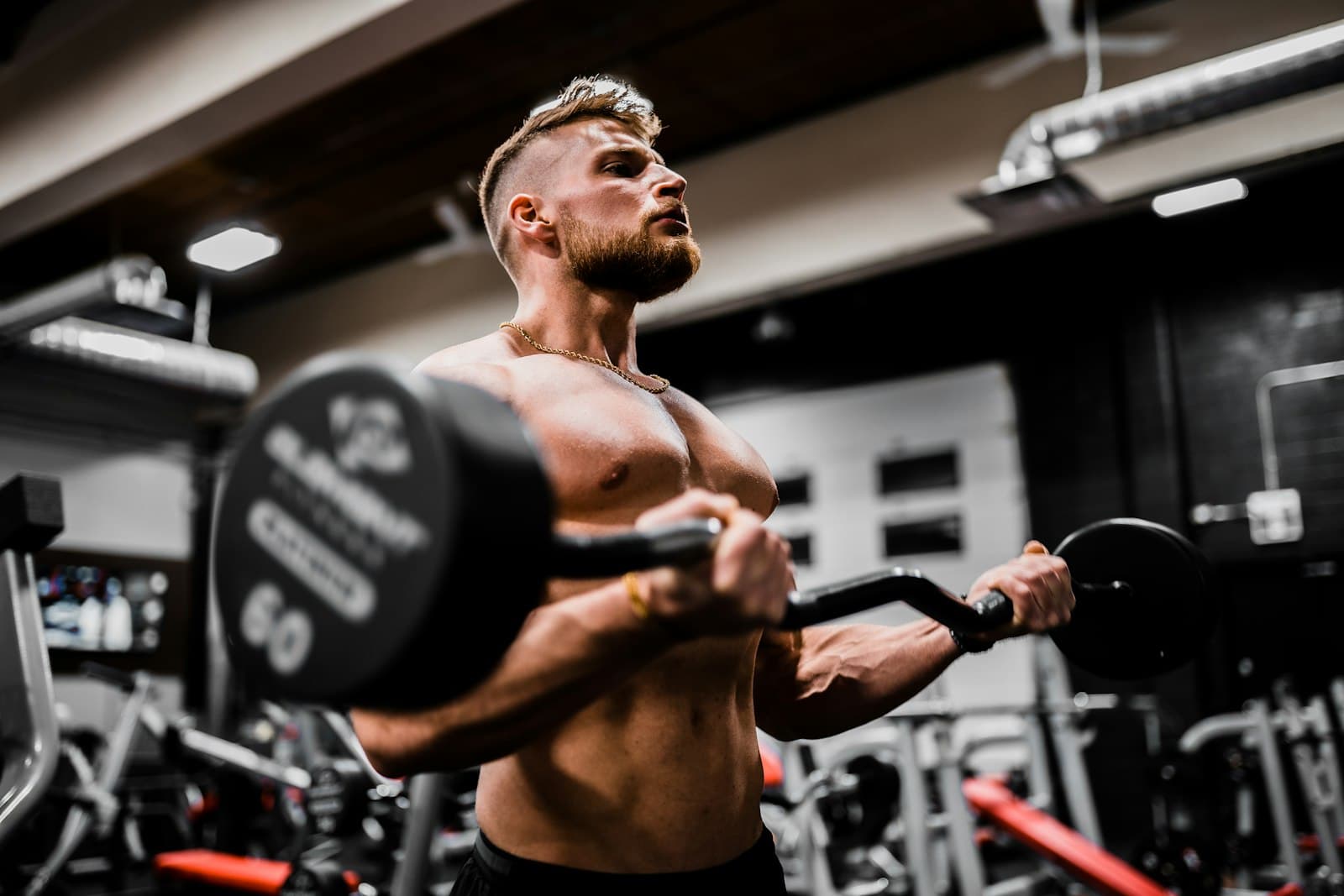 Entrenamiento de fuerza en fit+